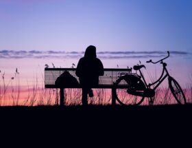 ścieżki rowerowe warszawa