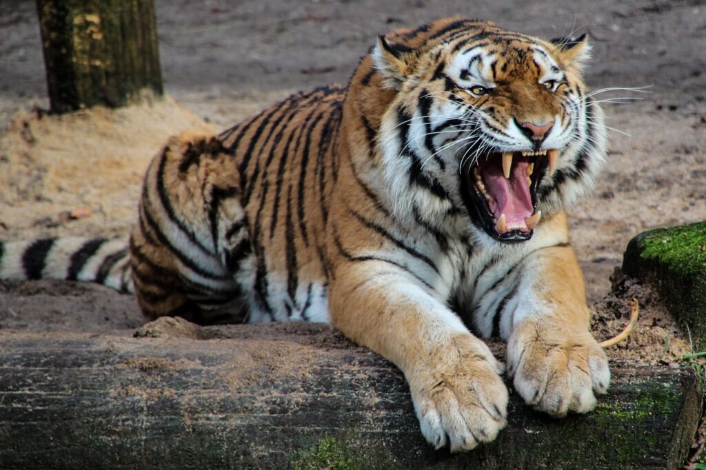 warszawa zoo