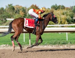 tor wyścigów konnych służewiec