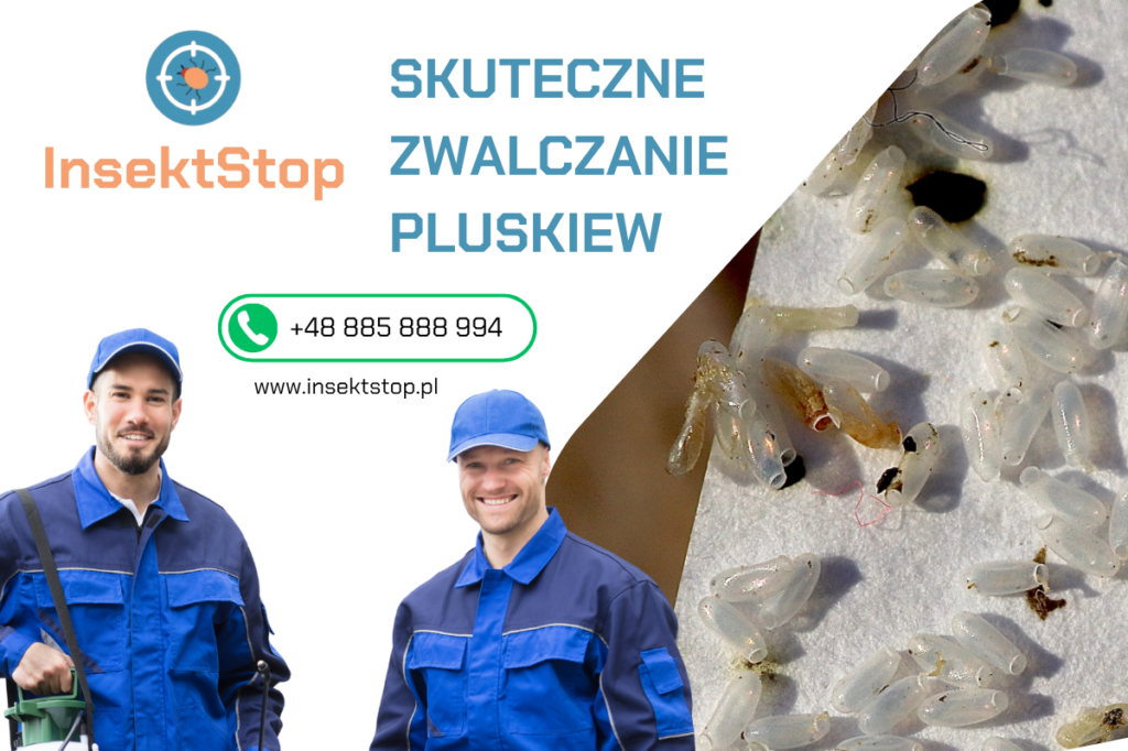 Zwalczanie pluskiew