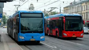 Por&oacute;wnanie system&oacute;w transportu zbiorowego w dużych aglomeracjach